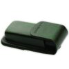 Lotoo PAW S1/S2 Case Green 49582