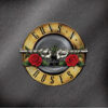 Guns N’ Roses: Greatest Hits HQ (2 LP)