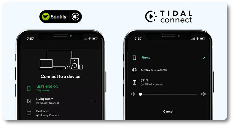 Spotify Connect и Tidal Connect